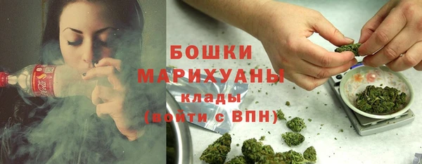 apvp Белокуриха