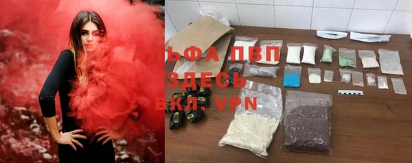 PSILOCYBIN Беломорск