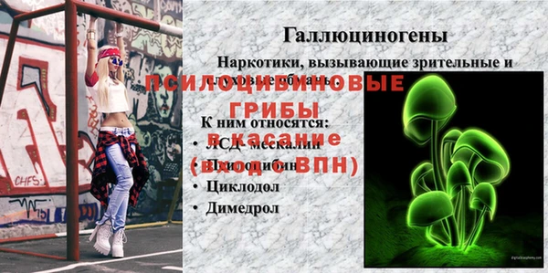 PSILOCYBIN Беломорск
