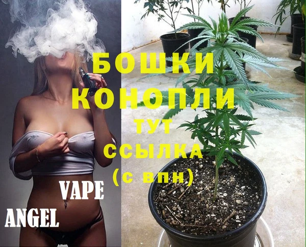 PSILOCYBIN Беломорск