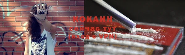 apvp Белокуриха