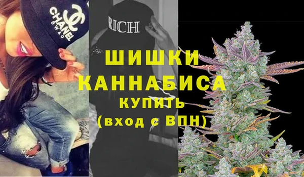 apvp Белокуриха