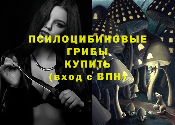 apvp Белокуриха