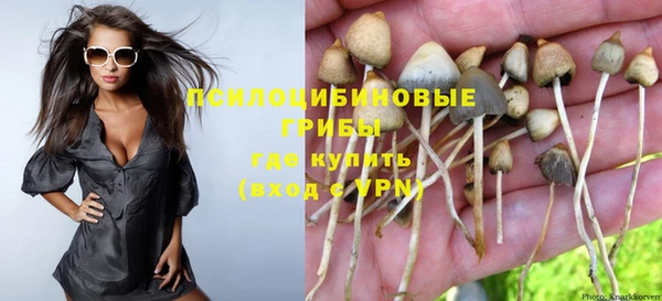 PSILOCYBIN Беломорск