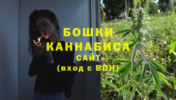 PSILOCYBIN Беломорск